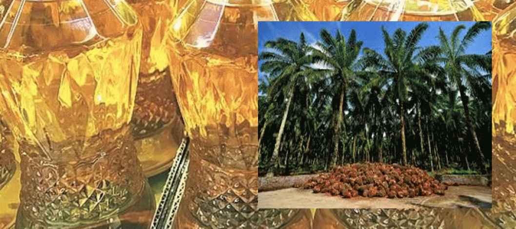 Malaysian palm oil prices fall on export and stock data, putting pressure on other oil prices