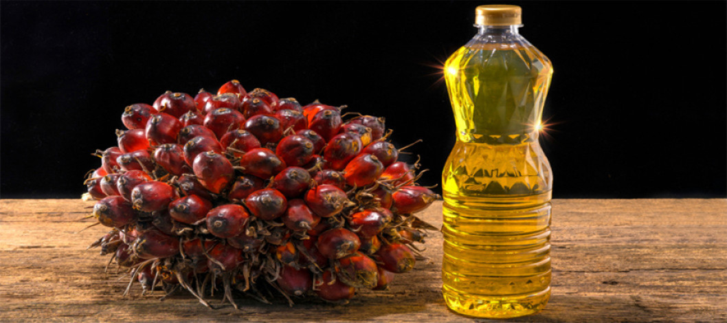 India's April palm oil imports drop 24%, remain below normal levels
