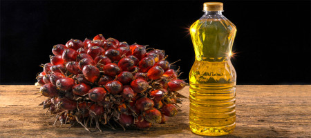 India's April palm oil imports drop 24%, remain below normal levels