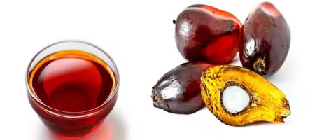 Crude palm oil price likely to hit 4,200 ringgit per tonne