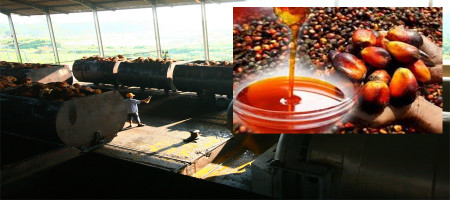 Palm oil in Dalian, Chicago, is looking for weakly related oil