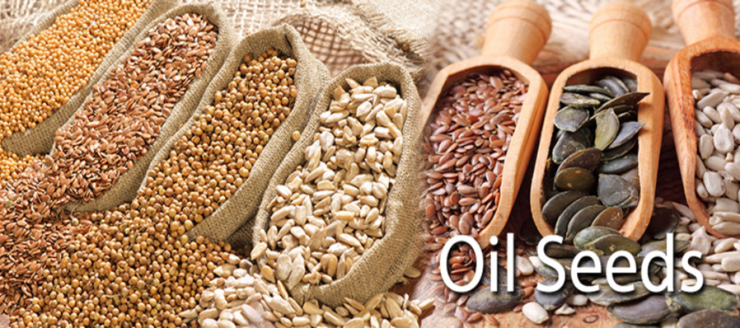 A short feature about the oil-seeds of the USA