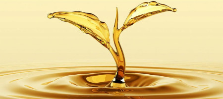 Egypt to double Alexandria's edible oil storage capacity to 150,000 tons