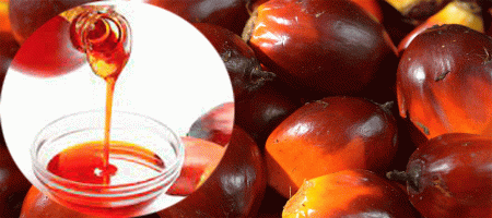 Palm Oil Jumps Above RM4,000 Mark to Track Soy Oil, Crude