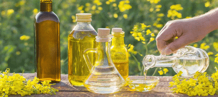 Canola oil market price