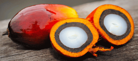 Indonesia seeks 'predictable policy' from India on palm oil imports