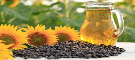 Sunflower seeds: record crop in Kazakhstan