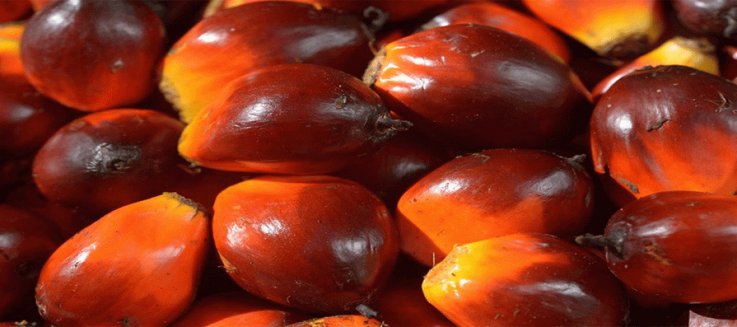 'No Palm Oil claims mislead consumers & ignore scientific evidence'