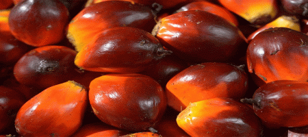 'No Palm Oil claims mislead consumers & ignore scientific evidence'