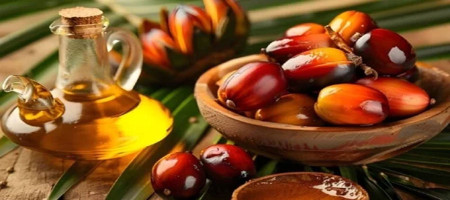 India can halve palm oil imports by 2047, says white paper