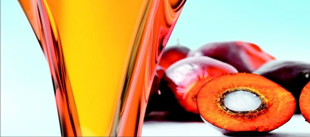 Delayed release of crude palm oil FOB Malaysia