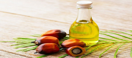 Palm Oil - Price Data