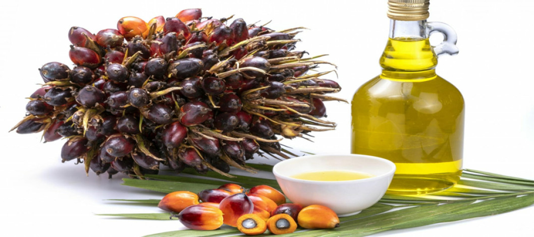 Malaysian palm oil prices fall as exports and edible oil prices fall
