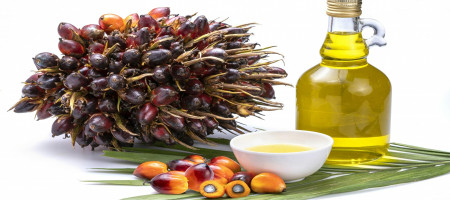 Malaysian palm oil prices fall as exports and edible oil prices fall