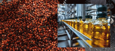 Pakistan's soybean, palm oil imports increase by 12.99% and 29.37% in four months