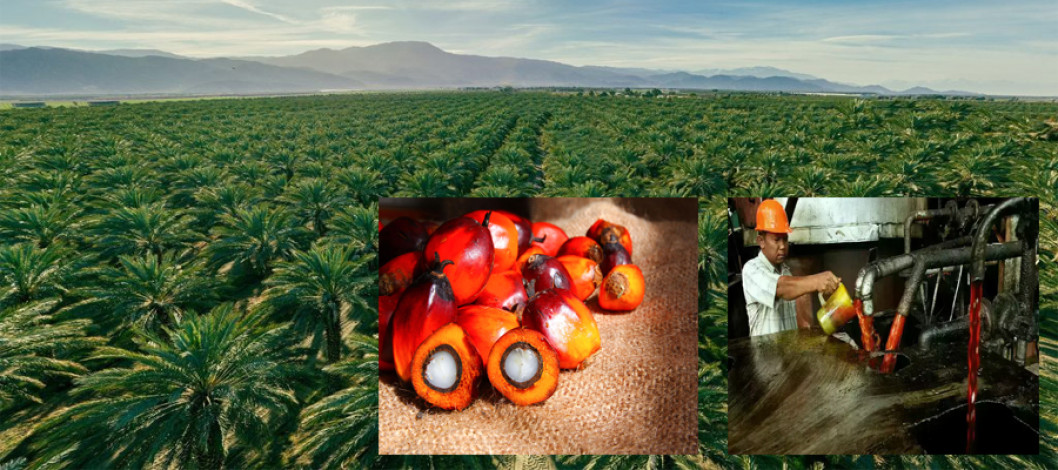 MPOB in Talks With Ground Vehicle Operators, Biodiesel Suppliers to Expand B20 Use at KLIA – KPK