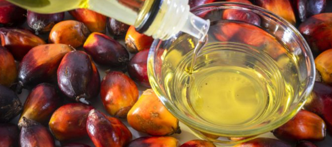 Crude oil prices rise and the depreciation of the ringgit has also led to an increase in palm oil prices.