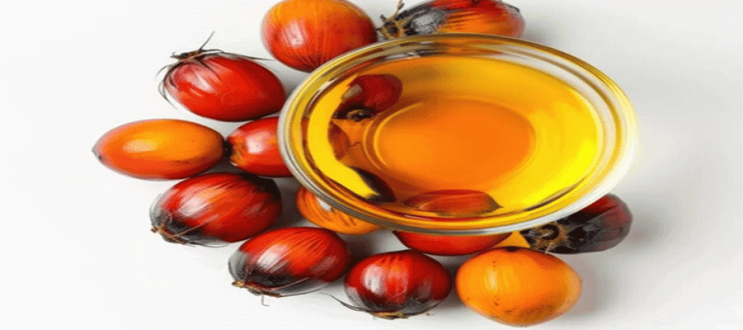 Palm oil prices remain stable due to rising crude oil prices and a strong ringgit
