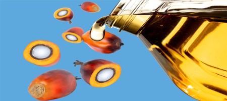The palm oil market is turning around as rival oils and crude oil prices rise